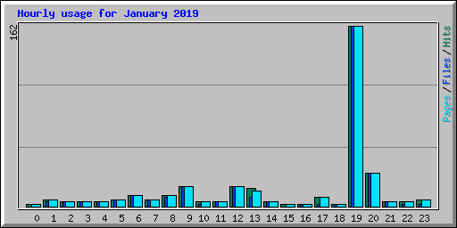 Hourly usage for January 2019