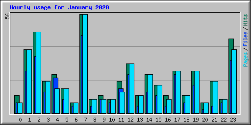 Hourly usage for January 2020