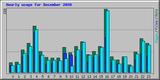 Hourly usage for December 2020