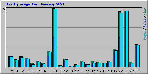 Hourly usage for January 2021