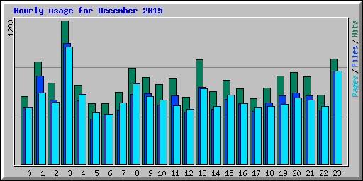 Hourly usage for December 2015