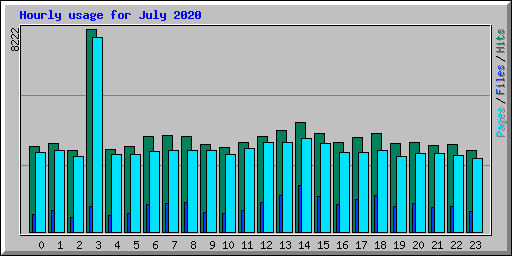 Hourly usage for July 2020