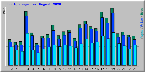 Hourly usage for August 2020