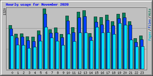 Hourly usage for November 2020