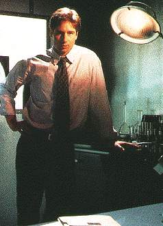 Fox Mulder, hard at work.  Image used respectfully without permission.