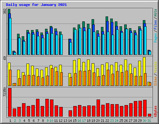 Daily usage for January 2021