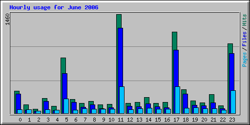 Hourly usage for June 2006