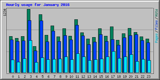 Hourly usage for January 2016