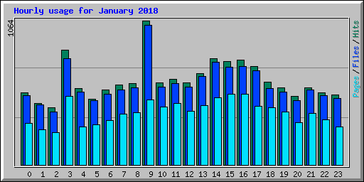 Hourly usage for January 2018