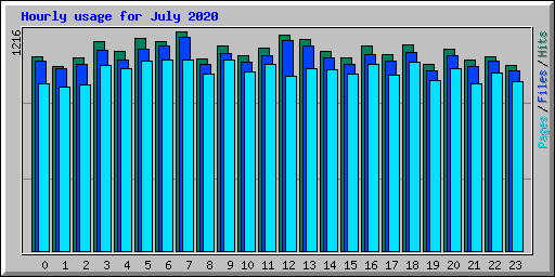 Hourly usage for July 2020