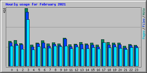 Hourly usage for February 2021