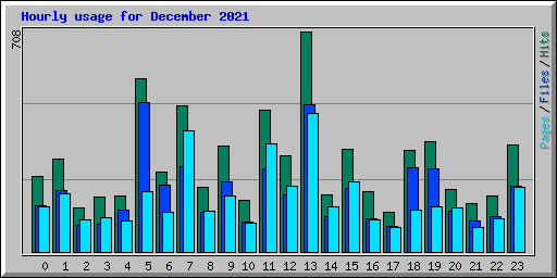 Hourly usage for December 2021