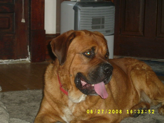 S4200082.JPG