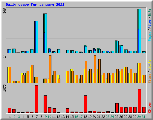 Daily usage for January 2021