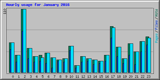 Hourly usage for January 2016