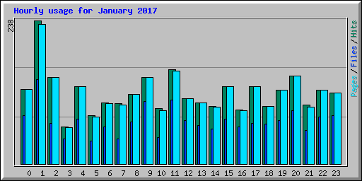 Hourly usage for January 2017