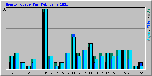 Hourly usage for February 2021