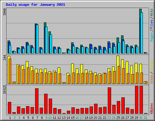 Daily usage for January 2021