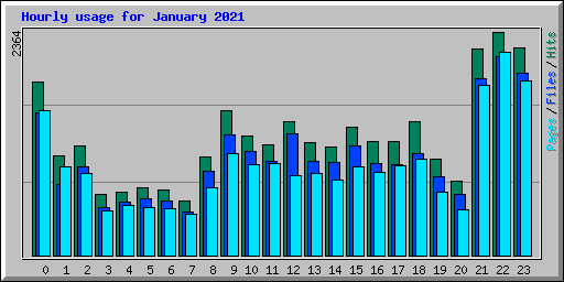 Hourly usage for January 2021