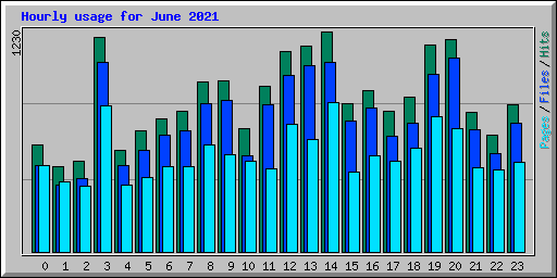 Hourly usage for June 2021