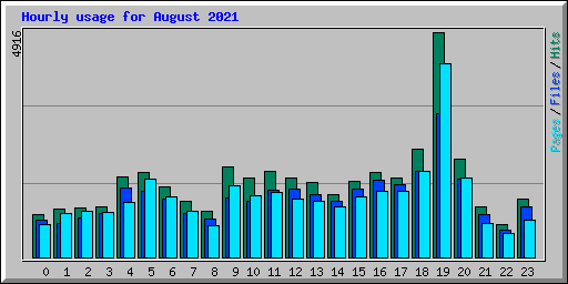 Hourly usage for August 2021