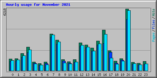 Hourly usage for November 2021