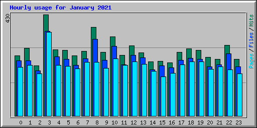 Hourly usage for January 2021